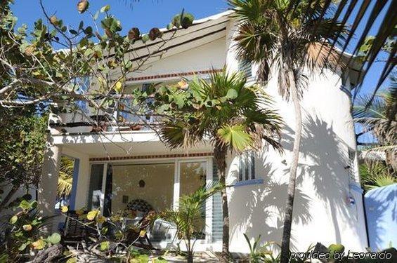 Las Ranitas Eco Boutique Hotel Tulum Extérieur photo
