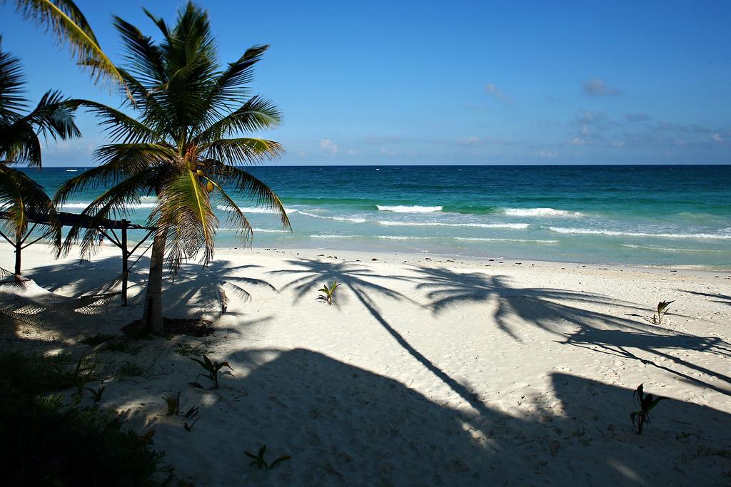 Las Ranitas Eco Boutique Hotel Tulum Extérieur photo